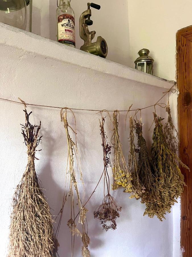 Agroturystyka U Koziolka Dlugowola Luaran gambar