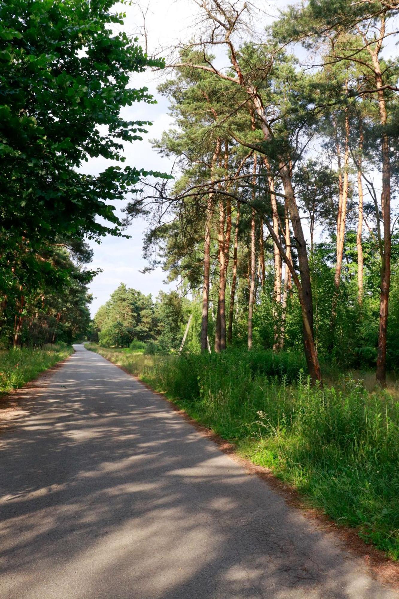 Agroturystyka U Koziolka Dlugowola Luaran gambar